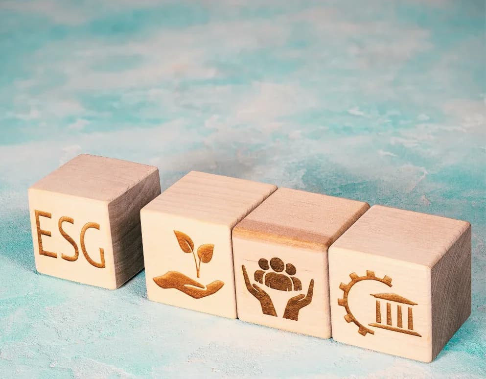 Sustainability: A Marketing Tactic or A New Focus for Emerging Startups?