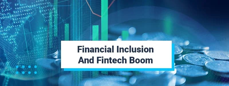 Financial Inclusion and Fintech Boom